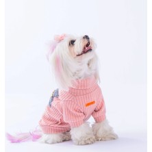 Pawstar Pudra Turtleneck Küçük Irk Köpek Likralı Triko