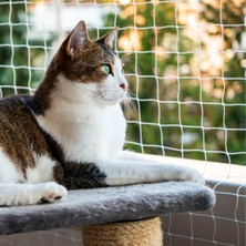 viyolmarketim 1,5 mm Kalın Balkon Filesi 2,5x3 Metre Kedi Filesi Kedi Balkon Filesi Güvenlik Ağı  Montaj Setli