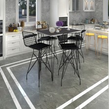 Kenz Life  Knsz Masa Sandalye Takımı HEM105ZENGIN Grisyh 130*070 4 Sandalye Syhsyh Kolçaklı