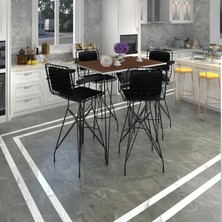 Kenz Life  Knsz Masa Sandalye Takımı HEM105ZENGIN Cvzsyh 130*070 4 Sandalye Syhsyh Kolçaklı Sırt Minderli