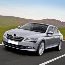 Vass41 Skoda Superb 3. Nesil 2015-2022 Panzot Pandizot Askı Pimi 1M6867574A