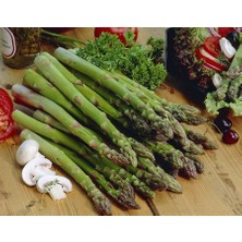 Zengarden Kuşkonmaz Tohumu Connovers Colossal Asparagus Officinallis Ödüllü