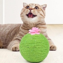 Three Beans Sisal Kaktüs Kedi Kıyma Topu Oyuncak Pet Kedi Scratcher Kitten Scratch Ball Interaktif Oyuncaklar Kedi Malzemeleri | Mobilya ve Amp;çizikler (Yurt Dışından)