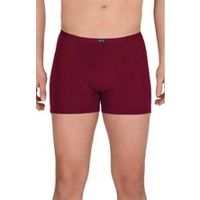 Berrak 4488 Erkek Ince Kemer Modal Boxer Tekli Paket
