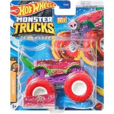 Hot Wheels 1:64 Monster Trucks Arabalar HLR88