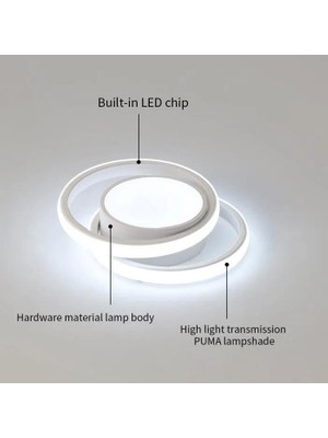 Tao Modern LED Tavan Lambası, 2 Yüzük Tasarımı, 32W, 6500K, L27*H6 cm (Yurt Dışından)