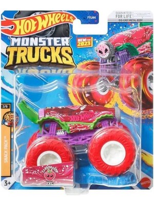 Hot Wheels 1:64 Monster Trucks Arabalar HLR88