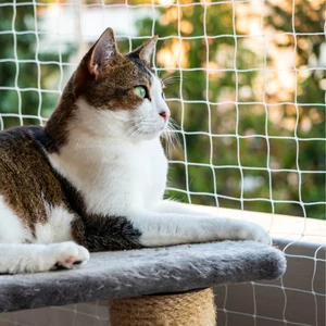 1,5 mm Kalın Balkon Filesi 2,5x5 Metre Kedi Filesi Kedi Balkon Filesi Güvenlik Ağı  Montaj Setli