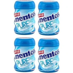 Pure Fresh Nane Aromalı Şekersiz Sakız 4 x 60 gr