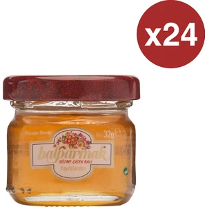 Yayla Çiçek Balı 32 g x 24 Adet