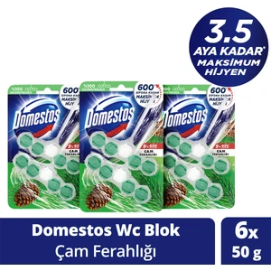 Wc Blok 5'li Güç Tuvalet Bloğu Çam Ferahlığı Maksimum Hijyen 100 G X3