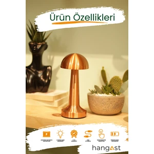 HL-009B Dekoratif Metal Bakır Mantar Kablosuz Masa Lambası Ledli 5V 3 Renk