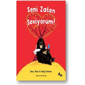Seni Zaten Seviyorum