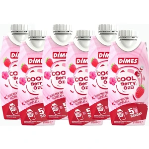 Cool Bery 310 ml 6 Lı Paket