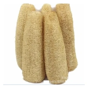 Köy Tohumları 30 Adet Tohum Nadir Organik Yerli Tohum Lif Kabağı Banyo Lif Kab