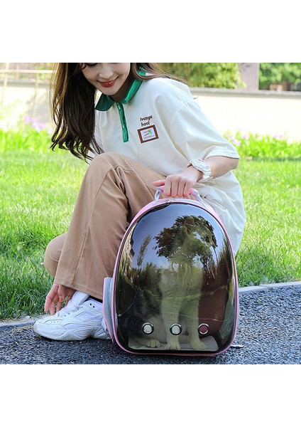 15 Kedi Çantası Nefes Alabilir Taşınabilir Pet Taşıma Çantası Delikli Açık Seyahat Sırt Çantası (Yurt Dışından) fiyatları