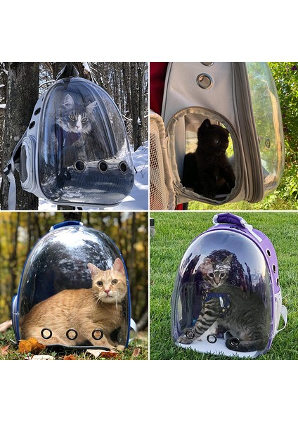 Lazer Hiçbir Yan Kapı Kedi Taşıma Çantası Açık Pet Çanta Taşıyıcılar Uzay Kapsülü Sırt Çantası Küçük Köpekler Kediler Için Nefes Alabilir Taşınabilir Seyahat Şeffaf Çanta (Yurt Dışından) indirimleri