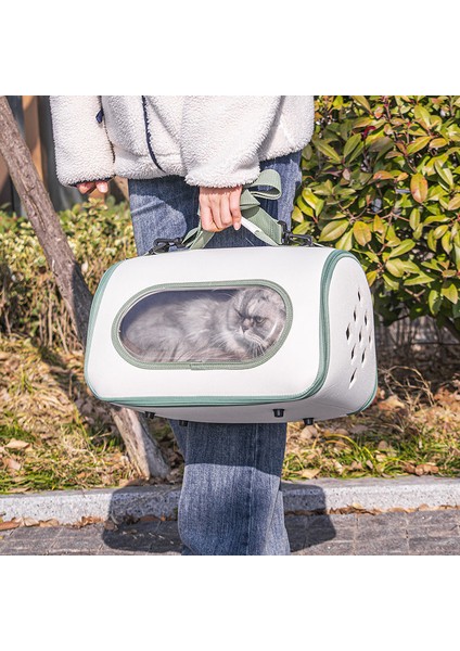 Yeşil 3 Sırt Çantası Kediler Için Seyahat Şeffaf Çanta Taşıyıcı Kedi Taşıma Sırt Çantası Pet Yavru ve Küçük Köpek Evcil Hayvan Taşıma Çantası Açık Çanta (Yurt Dışından) modelleri