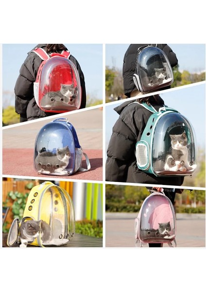 Sarı Kedi Taşıma Çantası Uzay Evcil Hayvan Sırt Çantası Nefes Taşınabilir Şeffaf Sırt Çantası Yavru Köpek Taşıma Taşıyıcı Uzay Kapsülü Çanta Evcil Hayvanlar (Yurt Dışından) indirimleri