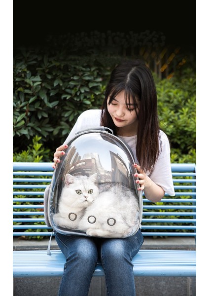 T0173-BLUE Nefes Alabilen Taşınabilir Evcil Hayvan Sırt Çantası, Şeffaf Kedi ve Köpek Taşınabilir Açık Hava Seyahati Sırt Çantası Evcil Hayvan Malzemeleri (Yurt Dışından) indirimleri
