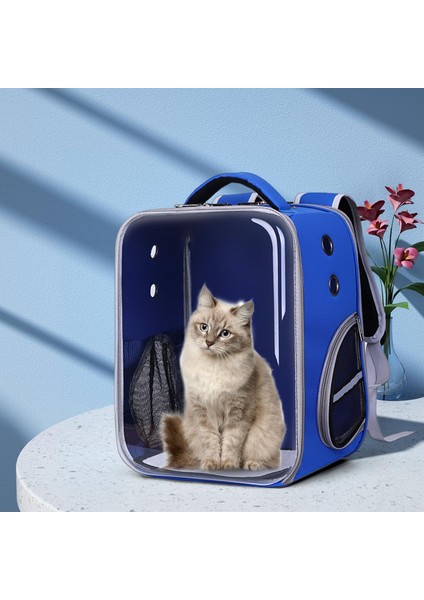 Siyah Pet Kedi Taşıma Çantası Yürüyüş Kamp Gezintisi Için Rahat Kedi Taşıyıcı Sırt Çantası (Yurt Dışından) fırsatları