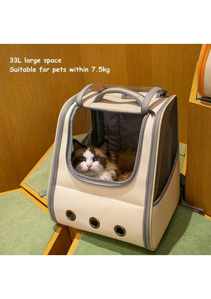 Yeşil Pet Kedi Taşıma Çantası Nefes Taşınabilir Kedi Sırt Çantası Açık Küçük Köpek Taşıma Taşıma Çantası Kedi Sırt Çantası Taşıyıcılar Yastıklı (Yurt Dışından) modelleri