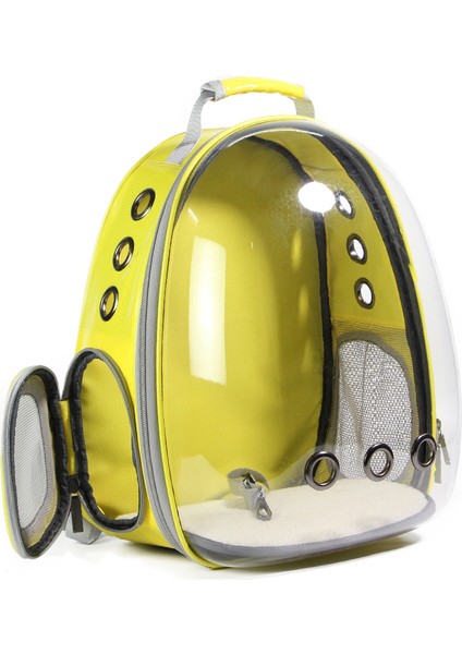 Yeşil Kedi Taşıma Sırt Çantası Pet Kedi Sırt Çantası Kitty Yavru Chihuahua Küçük Köpek Taşıyıcı Sandık Açık Seyahat Çantası Mağara Kedi Için (Yurt Dışından) modelleri