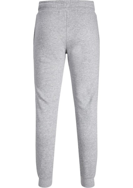 Jack & Jones 12236876-FW Jpstgordon Jjmıkk Sweat Pant Nafa Erkek Eşofman Altı