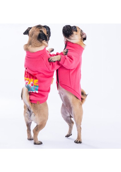 Pembe Monster Kedi Köpek Ceketi Kedi Köpek Kıyafeti Kedi Köpek Elbisesi fırsatları