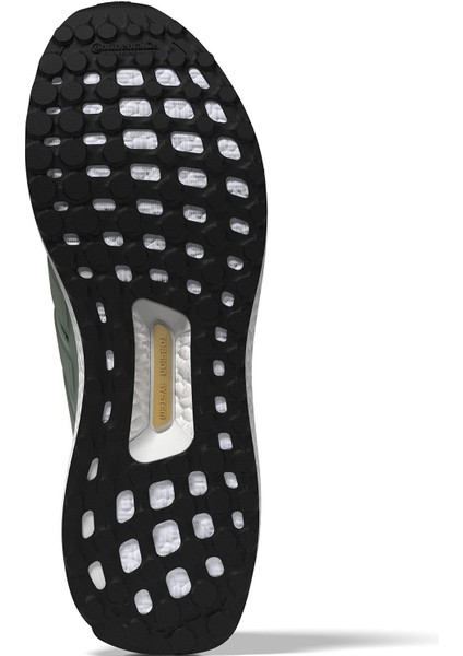 Ultraboost 1.0 Erkek Koşu Ayakkabısı