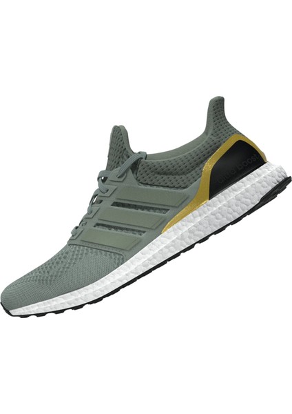Ultraboost 1.0 Erkek Koşu Ayakkabısı