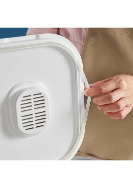 Böcek Geçirmez ve Neme Dayanıklı Mühürlü Pirinç Kovası Tahıl Tahıl Saklama Kutusu Büyük Kapasiteli Ev Gıda Sınıfı Depolama Pirinç Kutusu Pirinç Kutusu 10KG (Yurt Dışından) fiyatları