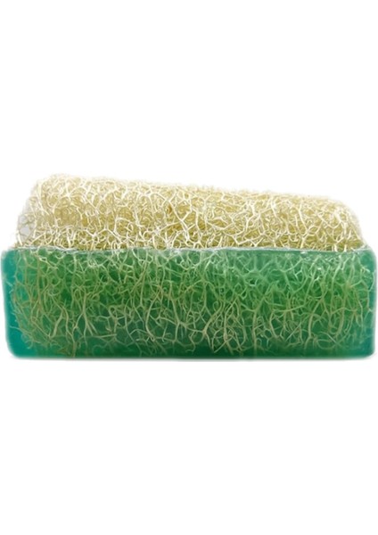 Kabak Lifli Aloe Vera Sabunu