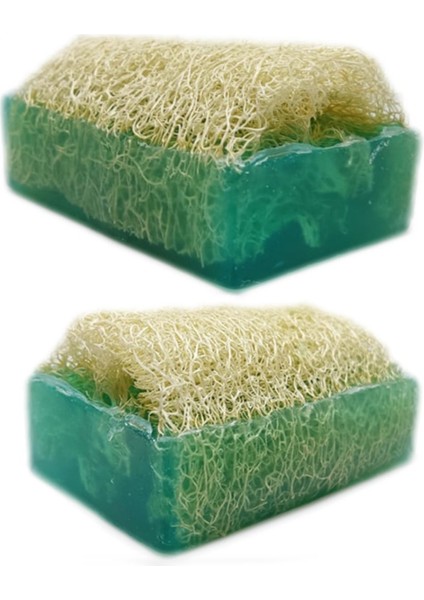 Kabak Lifli Aloe Vera Sabunu
