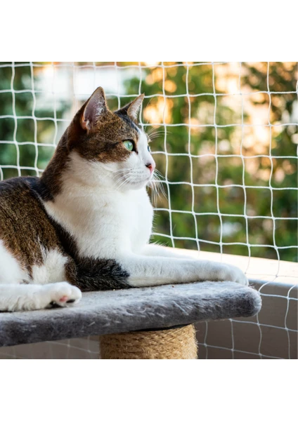 1,5 mm Kalın Balkon Filesi 2,5x5 Metre Kedi Filesi Kedi Balkon Filesi Güvenlik Ağı  Montaj Setli