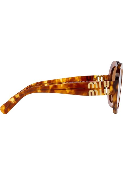 11YS 4BW2Z1 Kadın Güneş Gözlüğü fırsatları