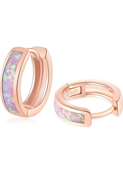 Opal Menteşeli Halka Küpe Altın Kaplama Hipoalerjenik Küçük Halka Küpe Kadın Kız Erkek --- Gül Altın Pembe (Yurt Dışından)