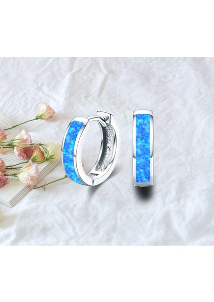 Opal Menteşeli Halka Küpe Altın Kaplama Hipoalerjenik Küçük Halka Küpe Kadın Kız Erkek --- Gül Altın Pembe (Yurt Dışından) fiyatları