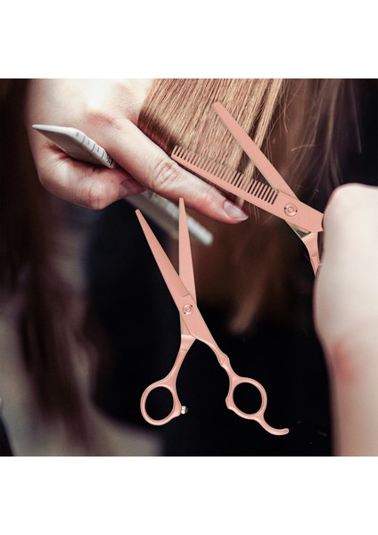 2'li Profesyonel Berber Kuaför Seti Düz Uçlu + Ara Makas 6.5 inç Saç Kesim Makası Hair Style XLQ504 fırsatları