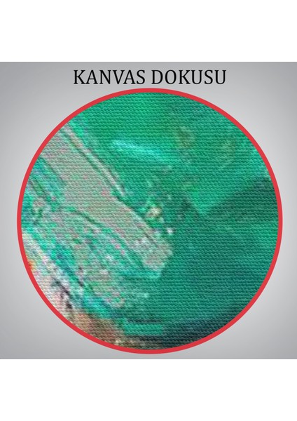 Dövüşen Soyut Hemşire Portresi, Tıbbi Soyut Kanvas TABLO-5246