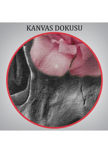 Kafa ve Pembe Çiçekler Kanvas Tablo Duvar SANATI-5234