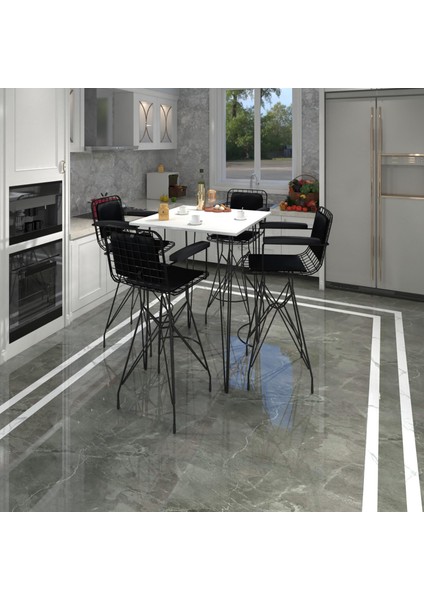 Knsz masa sandalye takımı hem105zengin byzsyh 080*080 4 sandalye syhsyh kolçaklı sırt minderli