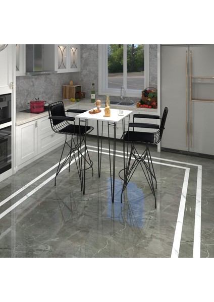 Knsz masa sandalye takımı hem105zengin byzsyh 070*070 2 sandalye syhsyh kolçaklı sırt minderli