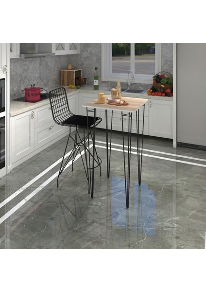 Knsz Masa Sandalye Takımı HEM105ZENGIN Crdsyh 060*060 1 Sandalye Syhsyh