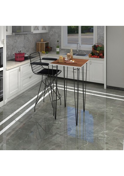 Knsz Masa Sandalye Takımı HEM105ZENGIN Cvzsyh 060*060 1 Sandalye Syhsyh Kolçaklı