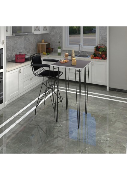 Knsz Masa Sandalye Takımı HEM105ZENGIN Grisyh 060*060 1 Sandalye Syhsyh Kolçaklı Sırt Minderli