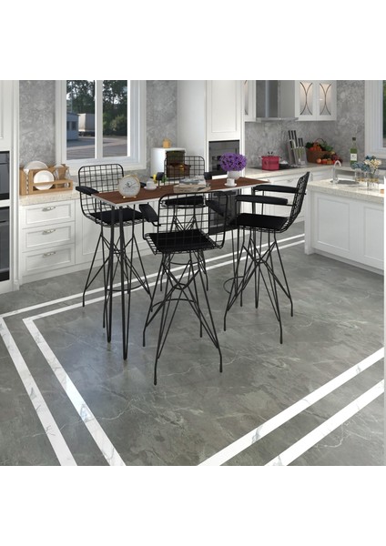 Knsz Masa Sandalye Takımı HEM105ZENGIN Cvzsyh 140*040 4 Sandalye Syhsyh Kolçaklı