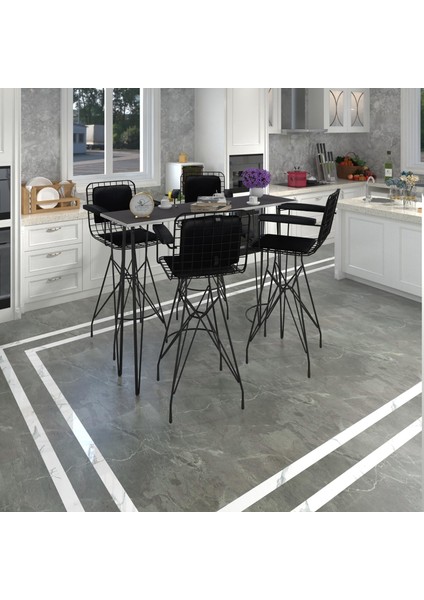 Knsz Masa Sandalye Takımı HEM105ZENGIN Grisyh 140*040 4 Sandalye Syhsyh Kolçaklı Sırt Minderli