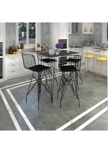 Knsz Masa Sandalye Takımı HEM105ZENGIN Grisyh 100*070 4 Sandalye Syhsyh
