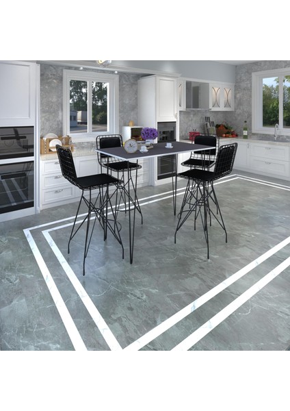 Knsz Masa Sandalye Takımı HEM105ZENGIN Grisyh 130*070 4 Sandalye Syhsyh Sırt Minderli